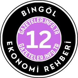 Bingöl Ekonomi Rehberi