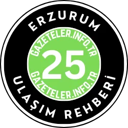 Erzurum Ulaşım Rehberi